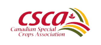 CSCA Logo