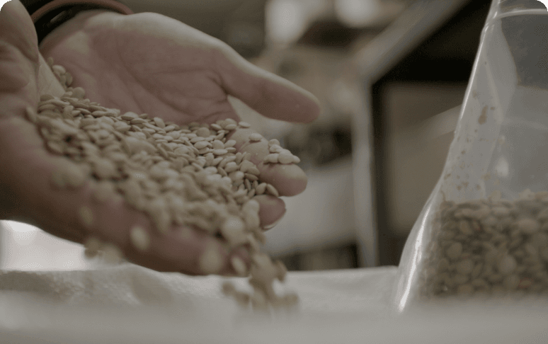 Grain